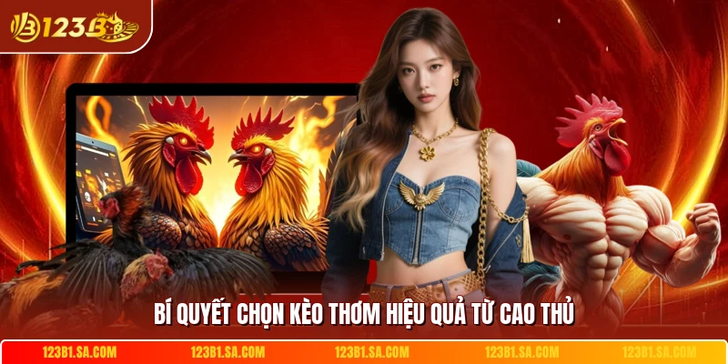 Bí quyết chọn kèo thơm hiệu quả từ cao thủ