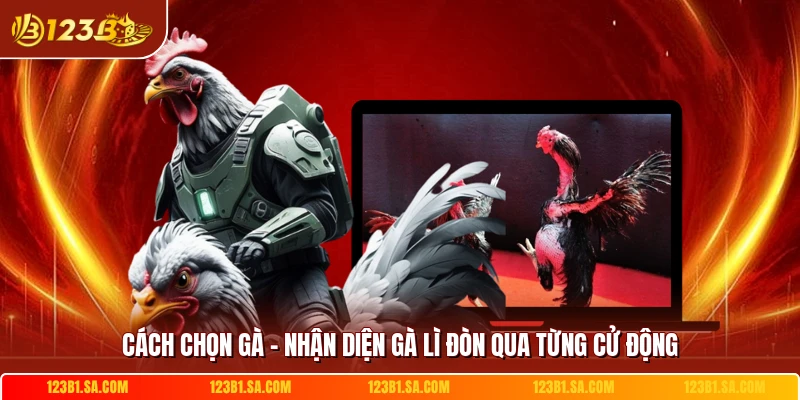 Cách Chọn Gà - Nhận Diện Gà Lì Đòn Qua Từng Cử Động