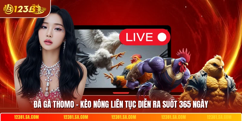 Đá Gà Thomo - Kèo Nóng Liên Tục Diễn Ra Suốt 365 Ngày