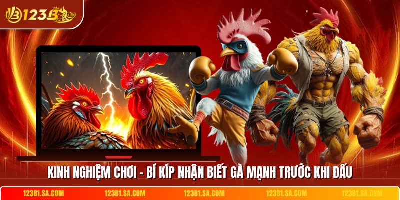Kinh Nghiệm Chơi - Bí Kíp Nhận Biết Gà Mạnh Trước Khi Đấu