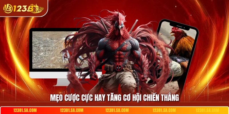 Mẹo cược cực hay tăng cơ hội chiến thắng