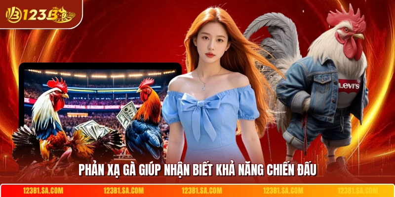 Phản xạ gà giúp nhận biết khả năng chiến đấu