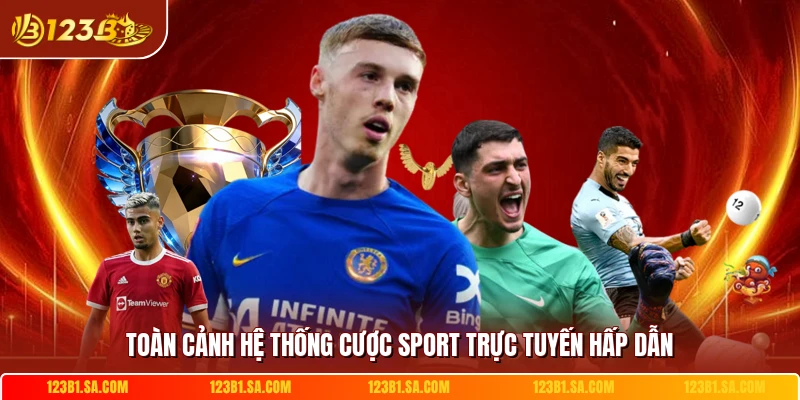 Toàn cảnh hệ thống cược sport trực tuyến hấp dẫn 