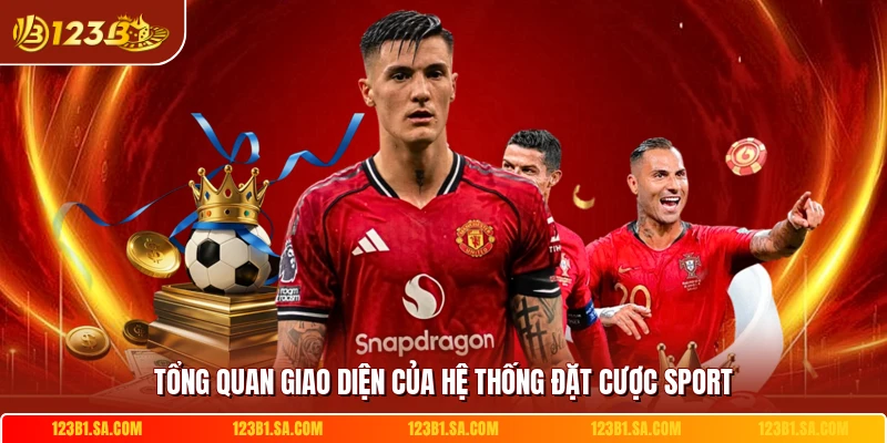 Tổng quan giao diện của hệ thống đặt cược sport 