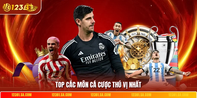 Top các môn cá cược thú vị nhất