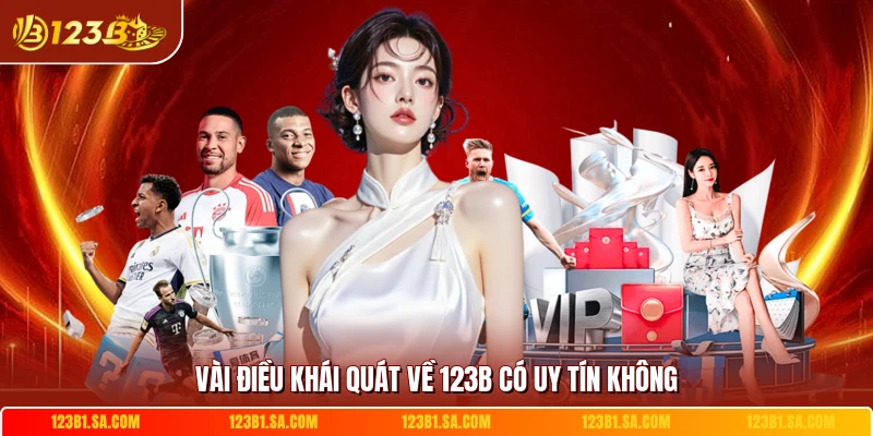 Vài điều khái quát về 123B có uy tín không